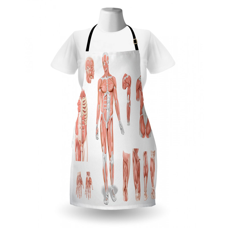 Bib Apron