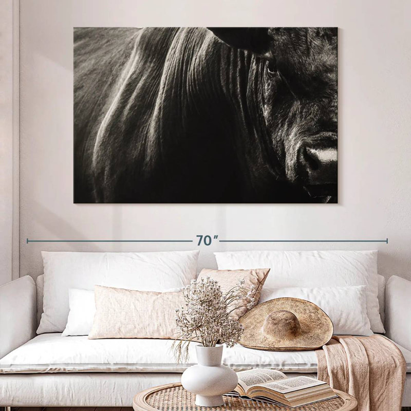 Black Angus Bull Close Up, 34" H x 51" W