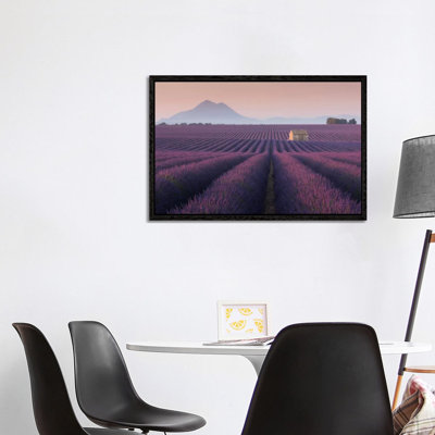 Lavender Fields Of Provence III by Daniel Kordan - Print on Canvas