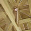 Solid Wood BBQ Gazebo
