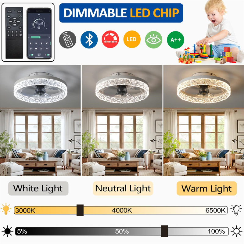 Ceiling Fan with LED Lights