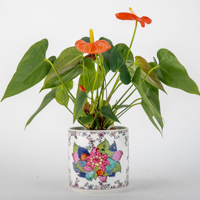 Porcelain Round Planter Pot Tobacco Leaf