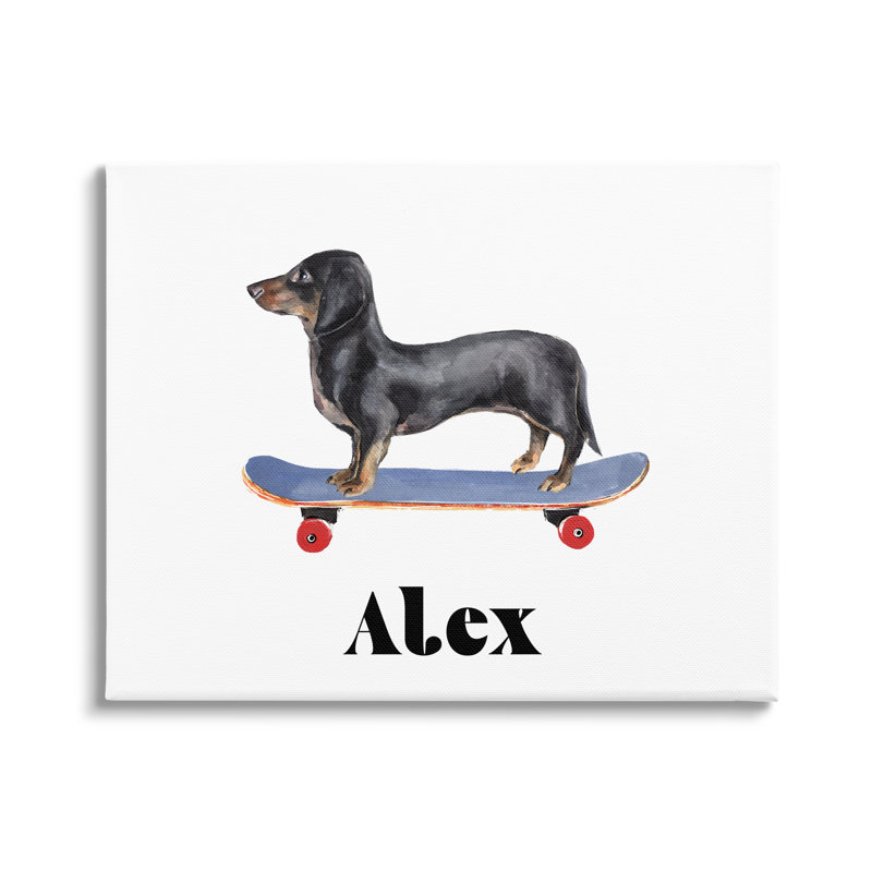 «Dachshund Dog Skateboarding cmw-032», art mural personnalisé, Toile tendue, H 16 po x l 20 po, Oui