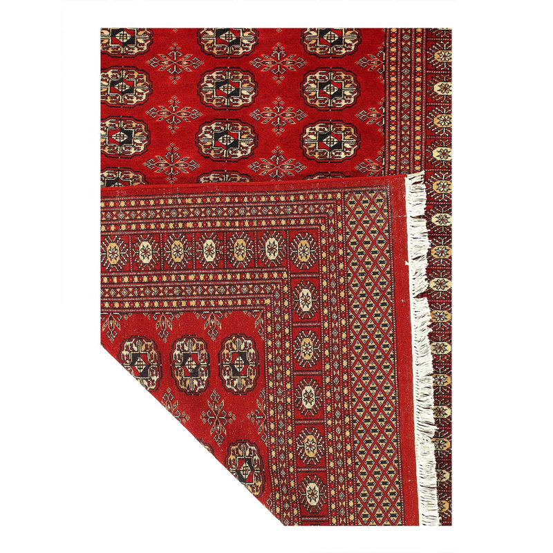 Fronnia Oriental Area Rug