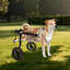 Pet Wheels Dog Wheelchair