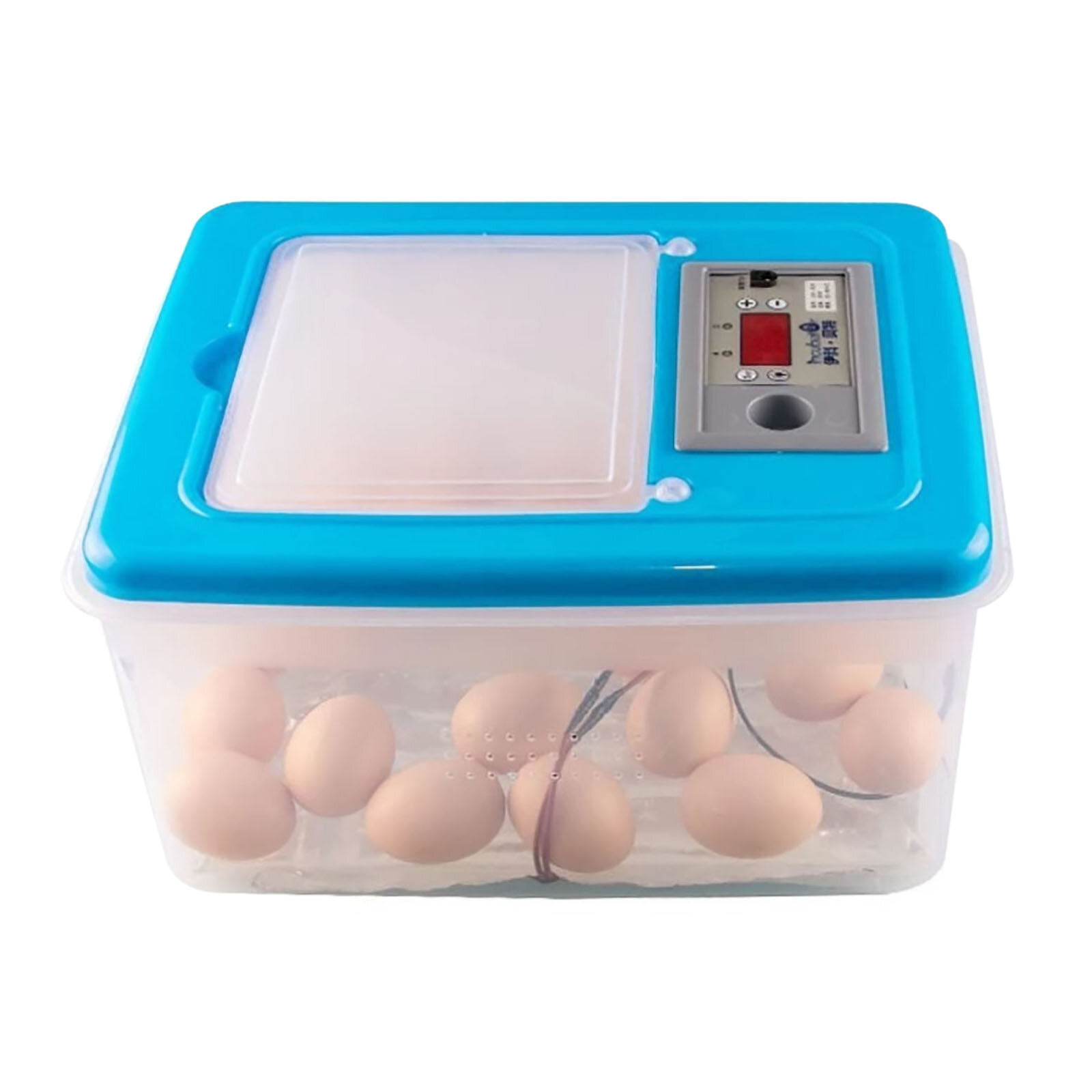 Maxi incubator large egg quadrants for 12 large eggs