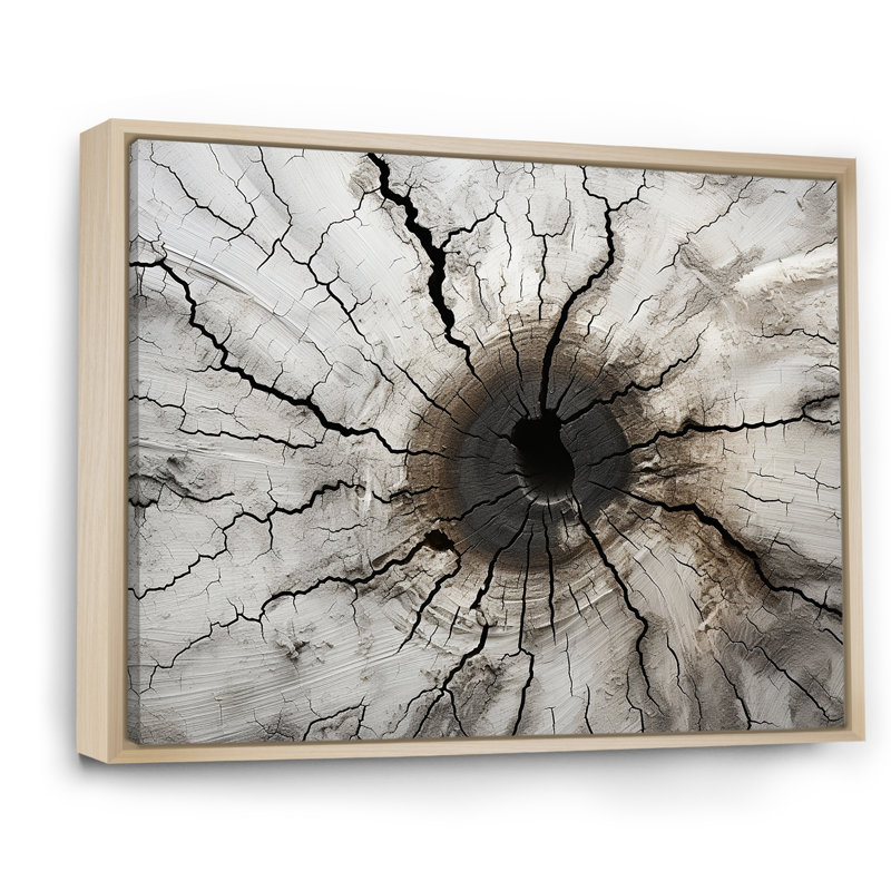«Tree Cut Stump Beauty I», reproduction sur toile, Cadre naturel flottant, H 12 po x l 20 po x P 1 po
