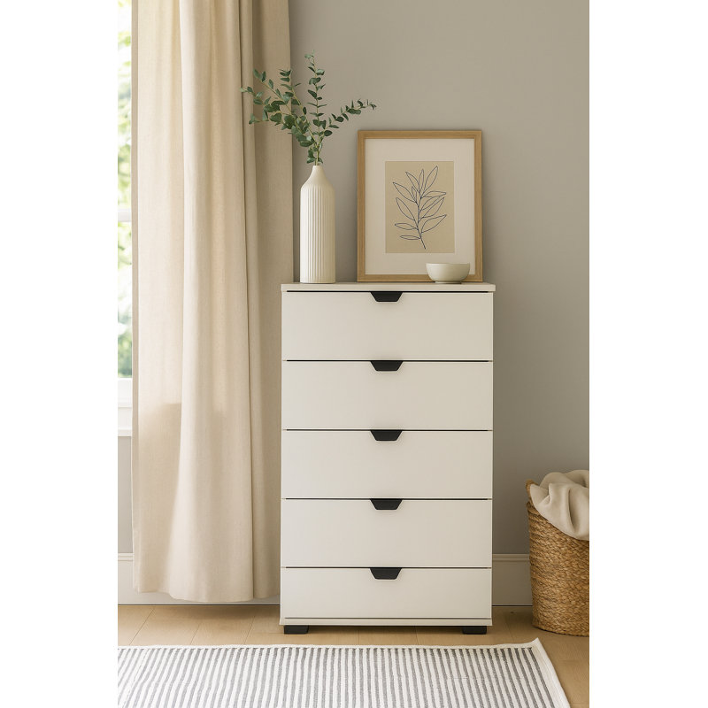 Azalynn 5 Drawer Storage Drawer