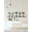 « photo lot de plantes »-impression sur toile tendue-1013453253