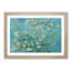 Almond Blossom Branches Vol.3 by Vincent Van Gogh - Picture Frame Painting-62764910-62764911