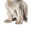 Animals Ceramic / Porcelain Garden Statue