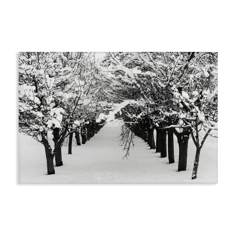 «Winter Tree Pathway», art mural sur toile par Nancy Crowell, H 16 po x l 24 po