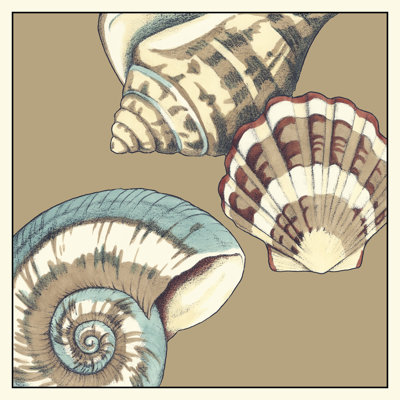 Shell Trio On Khaki II by Megan Meagher - Wrapped Canvas Print