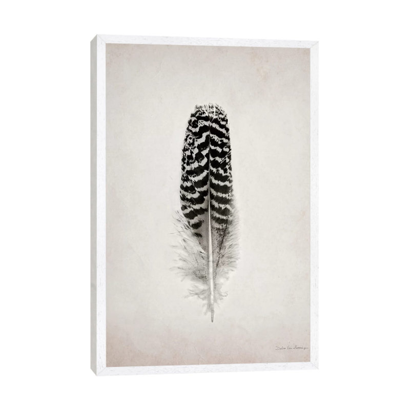 Feather I by Debra Van Swearingen - Gallery-Wrapped Canvas Giclée on Canvas, 66.04 cm H x 45.72 cm W, White Framed Canvas