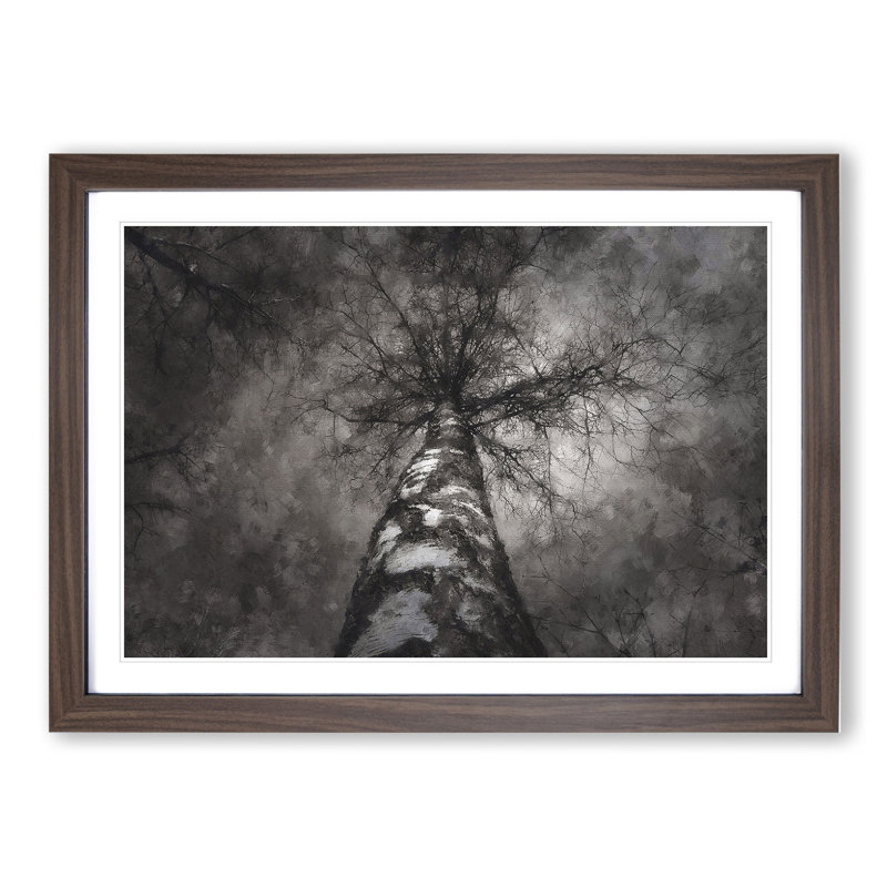 Birch Tree - Picture Frame Painting, 48cm H x 65cm W x 2cm D, Walnut Framed