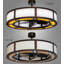 Damiyan 30'' Ceiling Fan with LED Lights