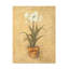 Art mural sur toile «Bolari Cheri Blum White Amaryllis II»-101098008