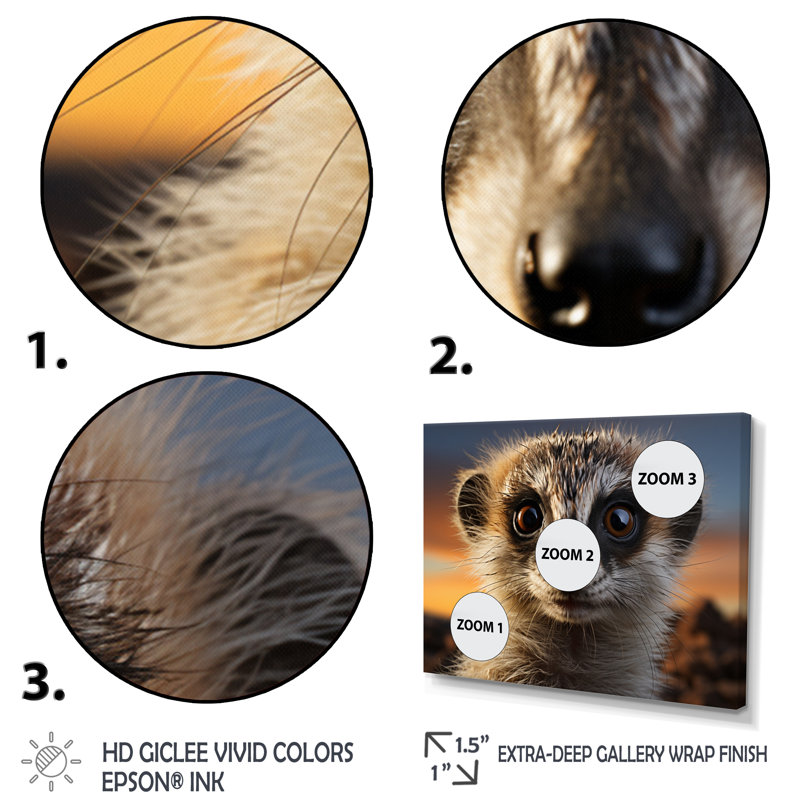 Brown Peach Meercat Portrait - Animals Canvas Wall Art, H 12 po x l 20 po, Cadre naturel flottant