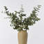 Branche d'eucalyptus artificiel Audet (1 tige)-1336703816