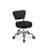 Dayton Backed Adjustable Height Ergonomic Lab Stool with Wheels-942086474