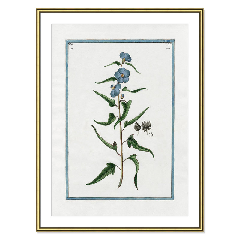 Colombe "Shabby Elegance Botanical I" Print, Gold Framed, 26.75" W x 36.75" H