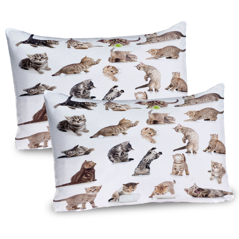 Ensemble de 2 taies décoratives pour chat Ambesonne, H 20 po x l 30 po