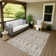 Machine Washable Indoor/Outdoor Gursevak ACN2251 Global Rug