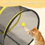 Tente de jeu d'extérieur pour chat avec tunnel