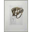Spot 5 Print by Evan Taylor
