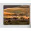 « africa »-reproduction de photo sur toile tendue-23720772
