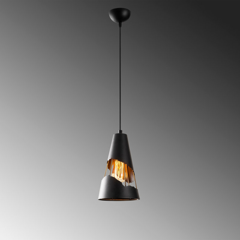 1 - Light Black Single Pendant
