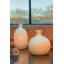 Terkel Porcelain Novelty Lamp