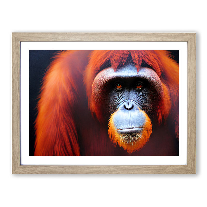 Enviable Orangutan - Single Picture Frame Print, Oak, 46cm H x 64cm W x 2cm D