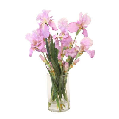 Lavis iris dans un vase cylindrique rond