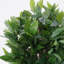 Anlin 120cm Faux Bay Tree in Pot