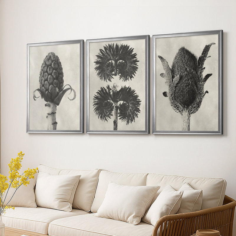 Blossfeldt Botanical IV - Toile tendue avec châssis sur mesure - 3 pièces, H 19 po x l 27 po, Argent argent