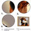 Teckel brun et noir - animaux, art mural sur toile-87341040-87341044