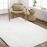 Carollyn Nomadic Machine Woven Polyester Area Rug in White