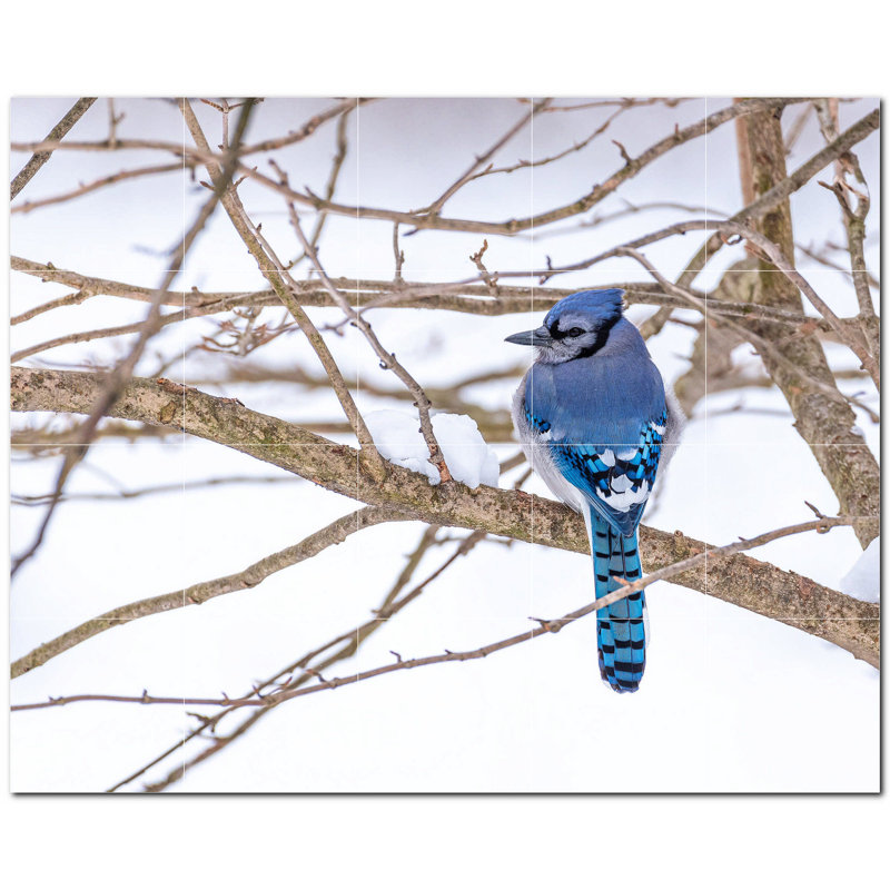 Bird Photo 6'' x 6'' Satin Ceramic Decorative Mural