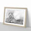 Leopard Resting - Picture Frame Photograph Print-56633104-56633103