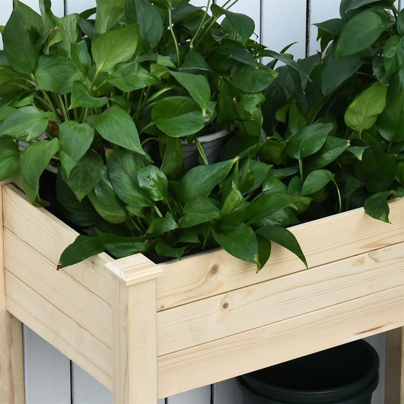 Akylah Wood Elevated Planter