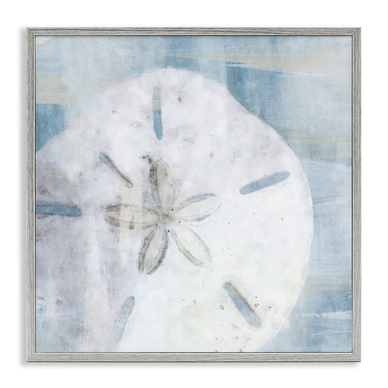 " Pastel Blue Sand Dollar Seashell " by Nina Blue, 12" H x 12" W x 1.5" D, Farmhouse Grey Framed Giclee