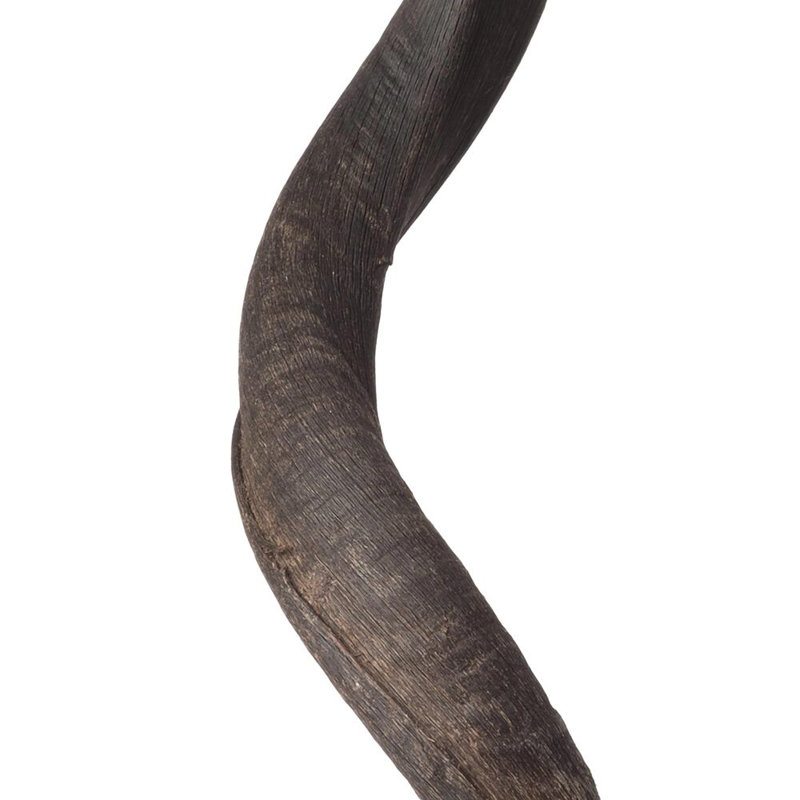 Genuine Horn Sculpture