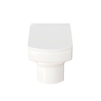 Shamir Back to Wall Toilet with Soft Close Seat