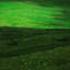 Verdant Depths