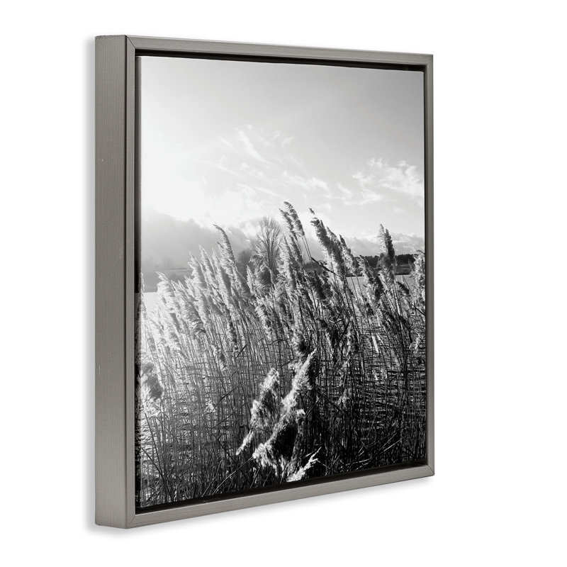 «Tall Grass Lake Water Landscape», art mural sur toile flottante par Sarah Jane, Cadre flottant gris lustré