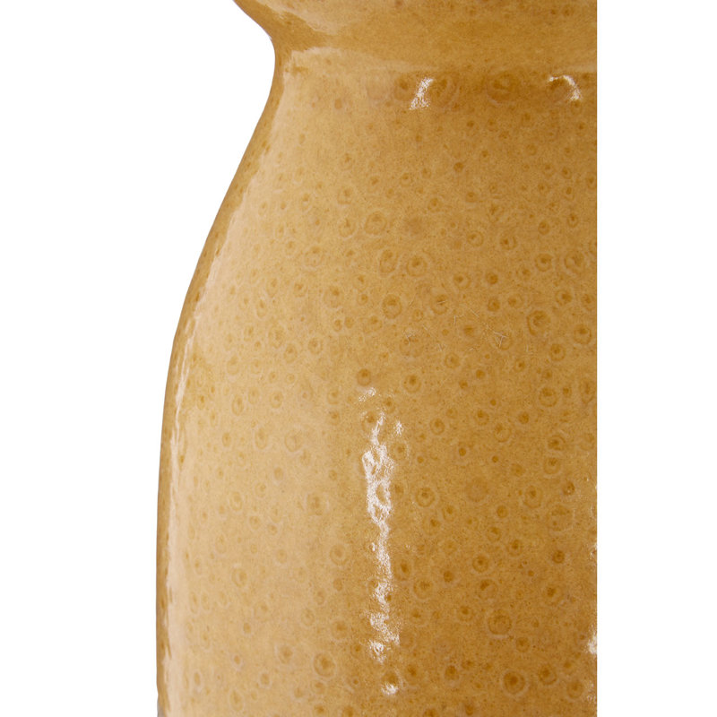 Chamaeleon Ceramic Table Vase