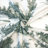 Toile De Jouy Standard Cotton Comforter Set-60220653-60220657
