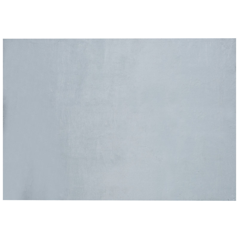 Munnsville Solid Colour Hand Woven Area Rug, Rectangle 160 x 230cm
