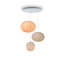 Filigrana Light, C3B Cluster 600 1220, 110/120V, Etched with Cane Detail